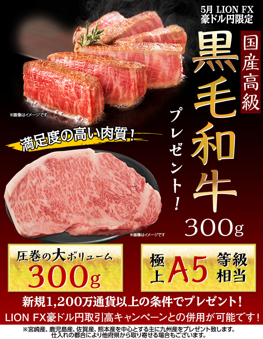 LION FX豪ドル円限定 国産高級黒毛和牛300gプレゼント!