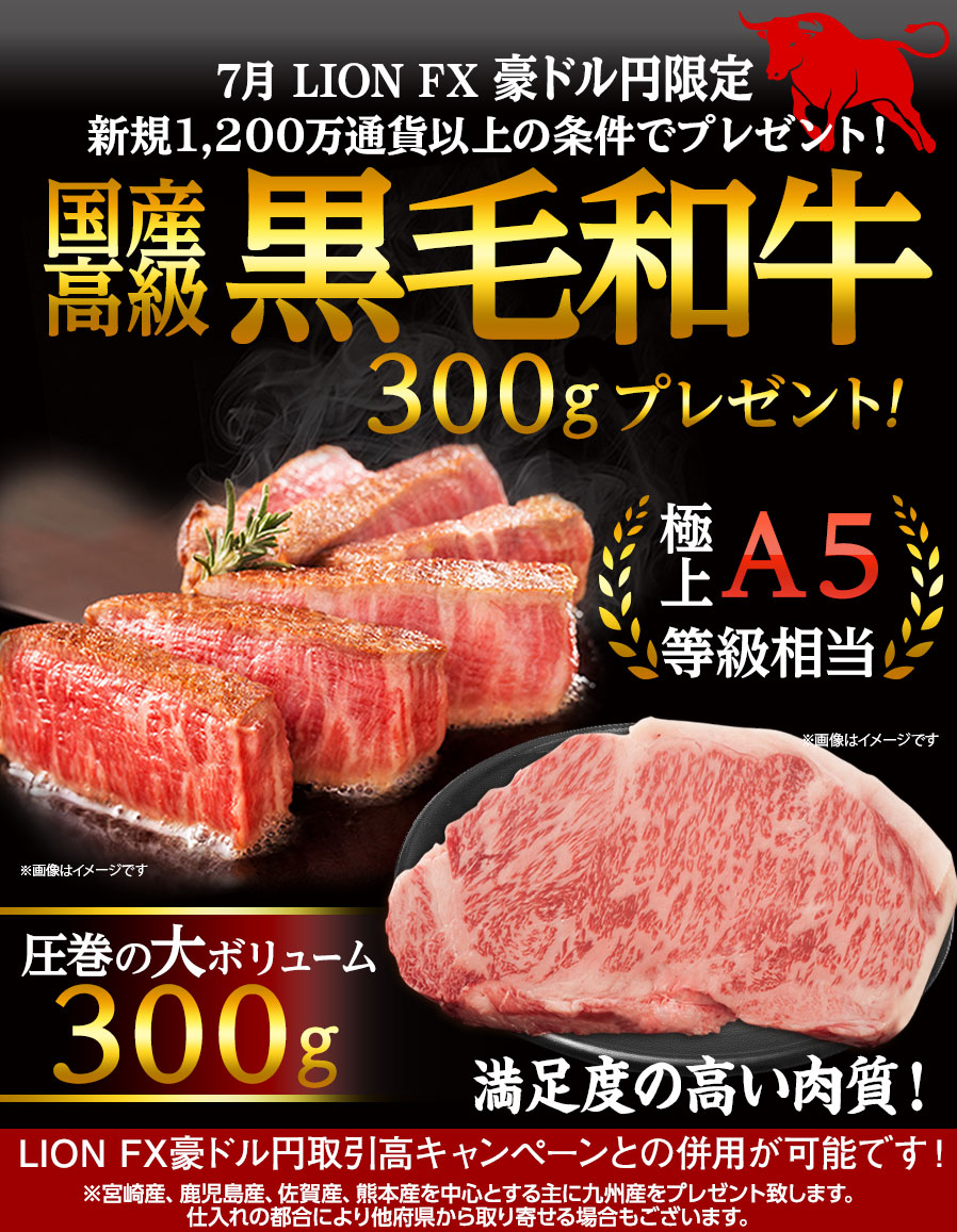 LION FX豪ドル円限定 国産高級黒毛和牛300gプレゼント!