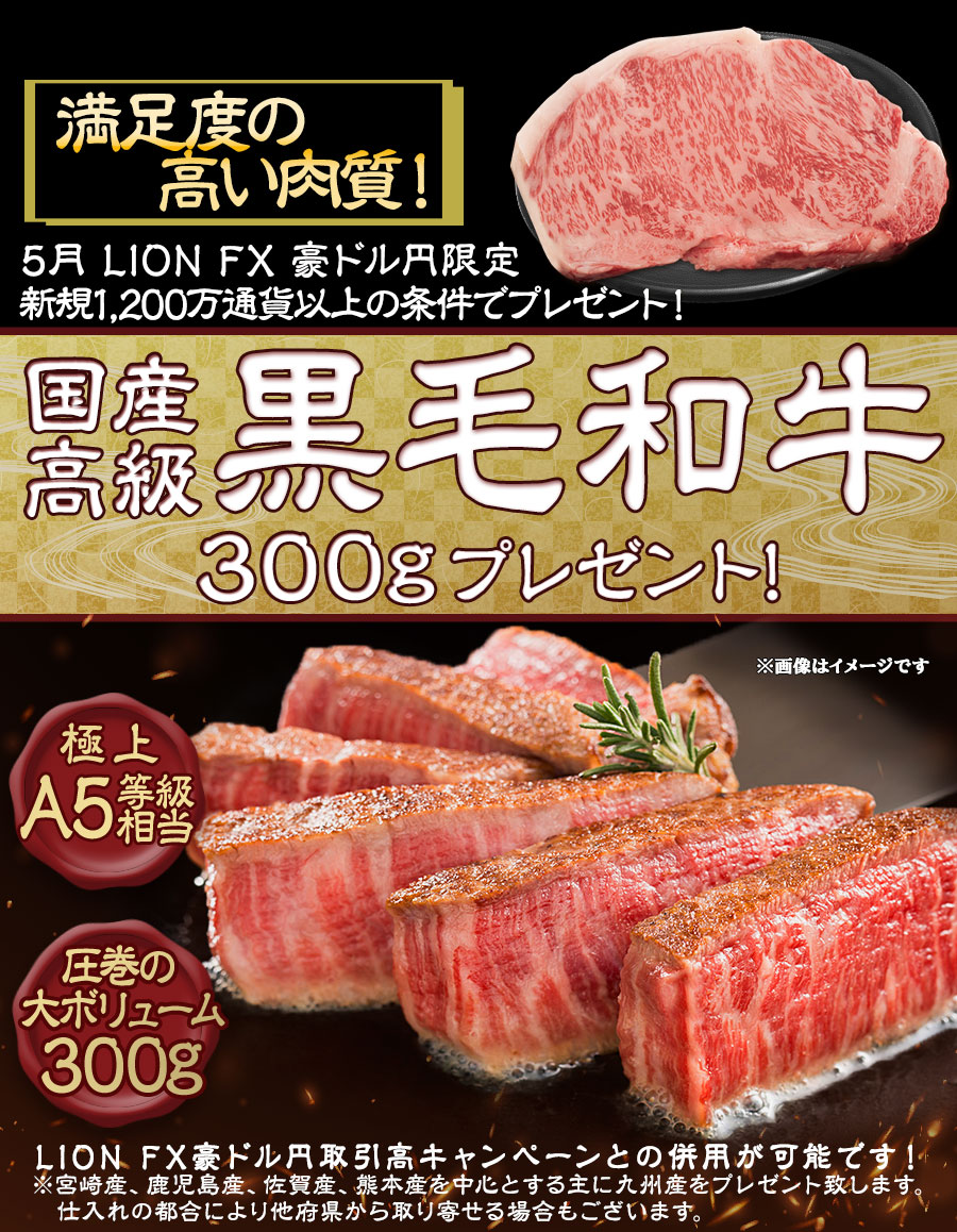 LION FX豪ドル円限定 国産高級黒毛和牛300gプレゼント!