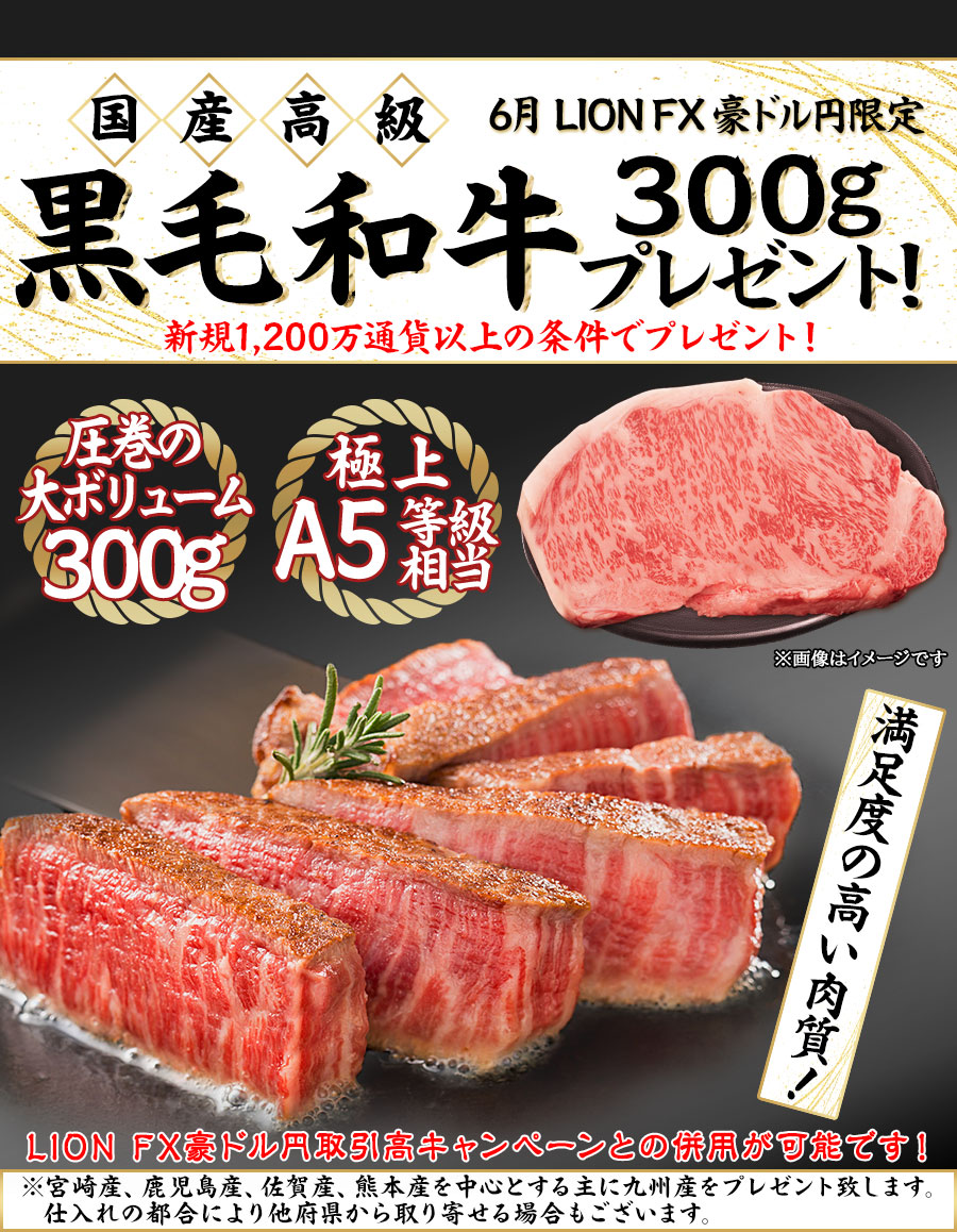 LION FX豪ドル円限定 国産高級黒毛和牛300gプレゼント!