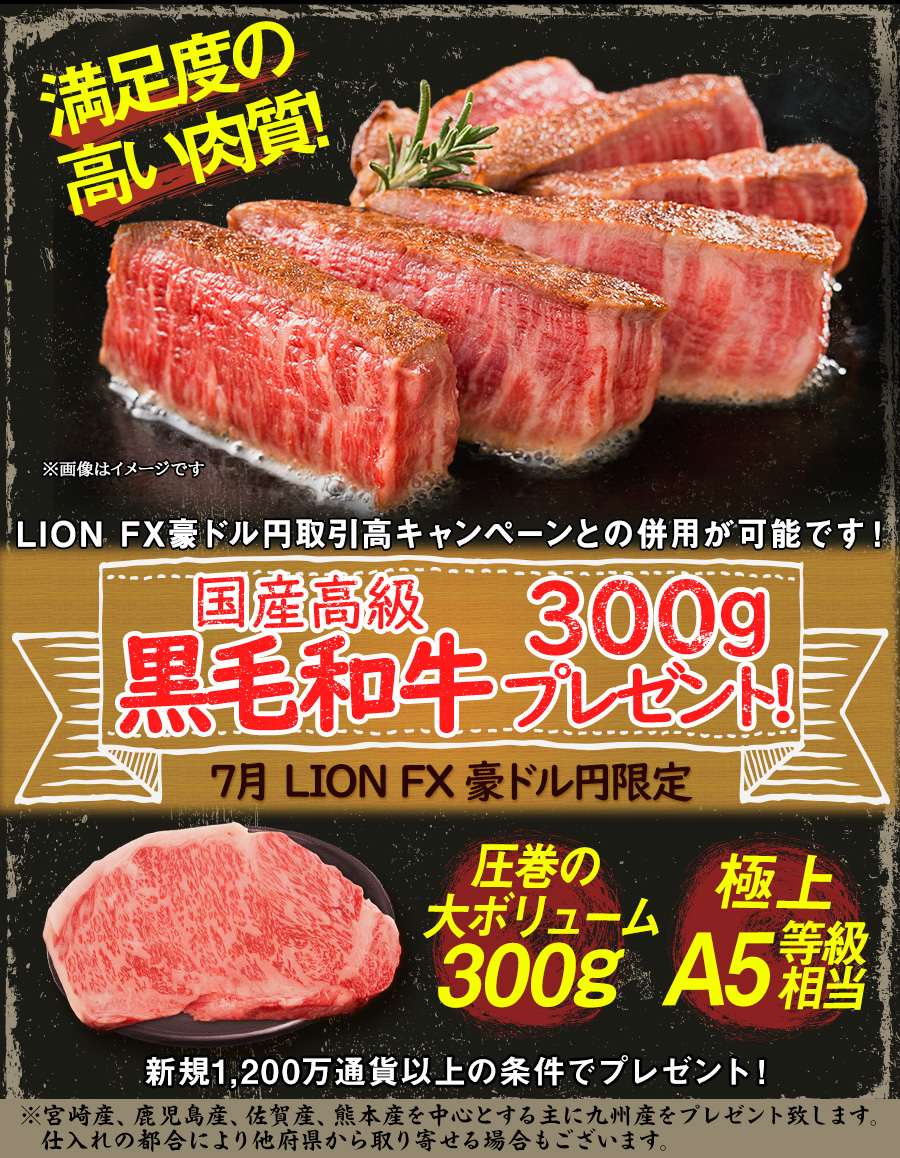 LION FX豪ドル円限定 国産高級黒毛和牛300gプレゼント!