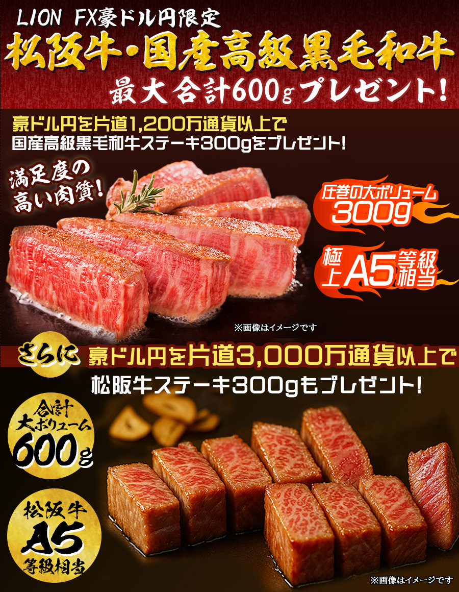 LION FX豪ドル円限定 松阪牛・国産高級黒毛和牛最大600gプレゼント!