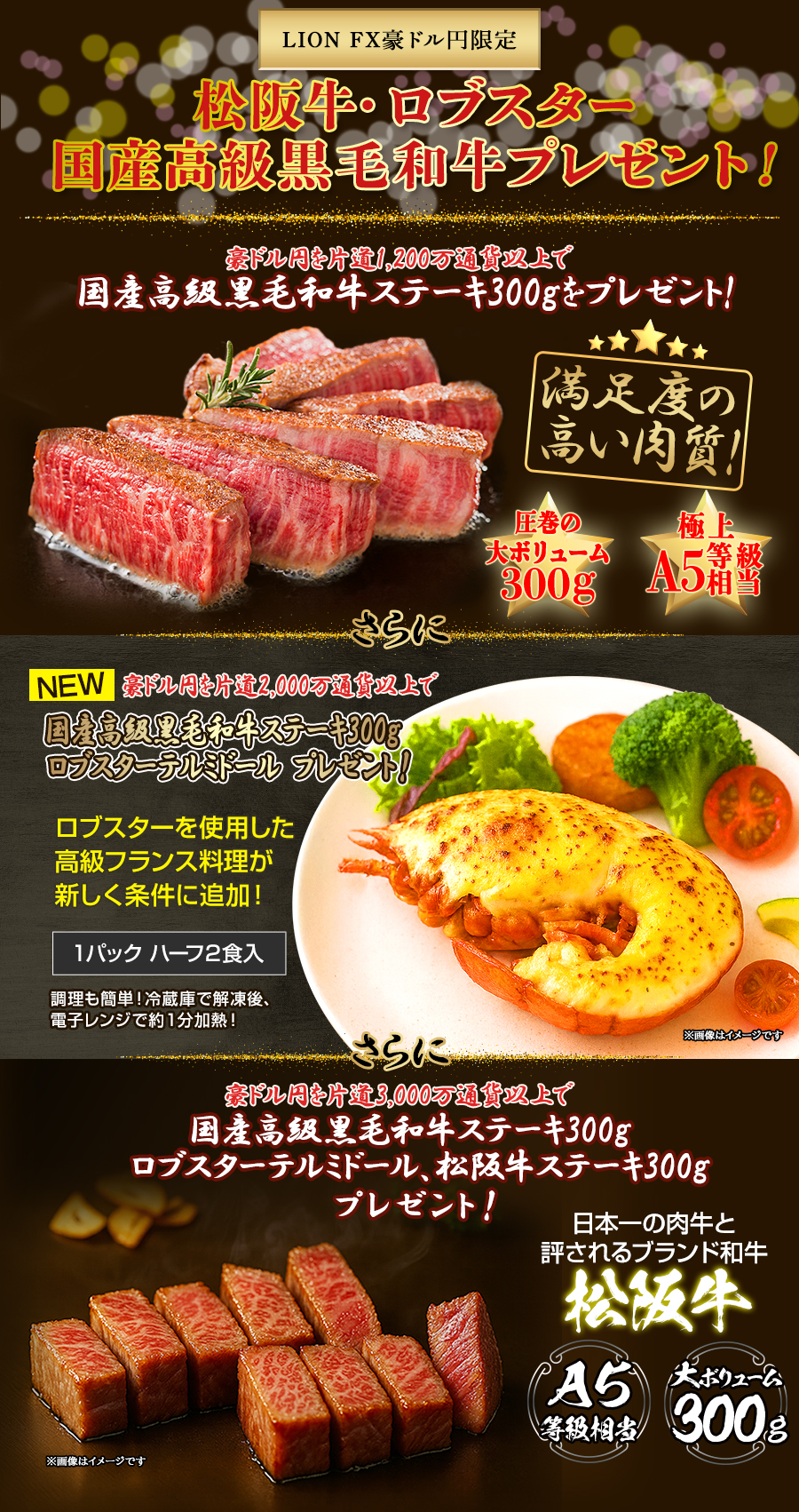 LION FX豪ドル円限定 松阪牛・ロブスター・国産高級黒毛和牛プレゼント!