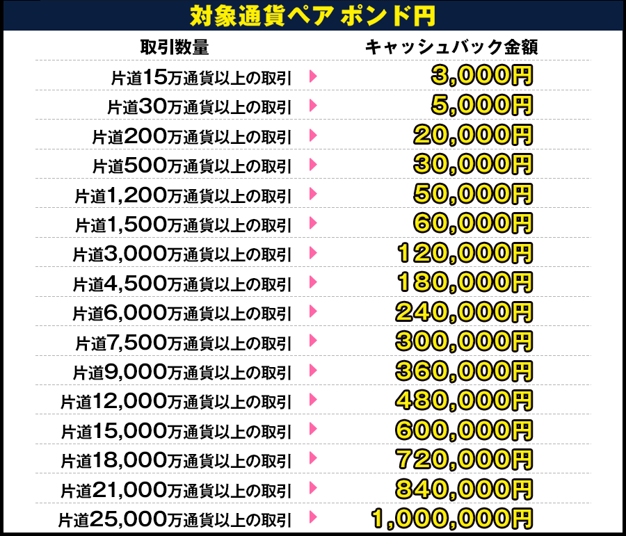 1月 お正月 最大100万円キャッシュバックキャンペーン｜ヒロセ通商