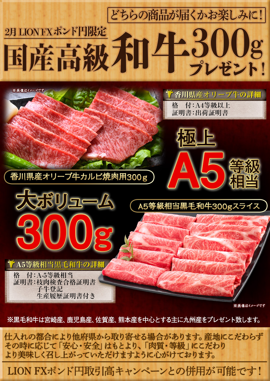 LION FXポンド円限定 国産高級和牛300gプレゼント!