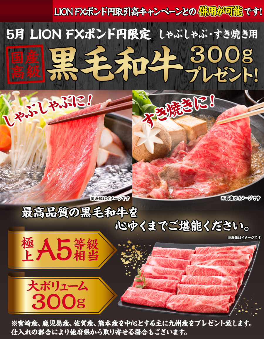 LION FXポンド円限定 国産高級黒毛和牛すきしゃぶ用スライス300gプレゼント!
