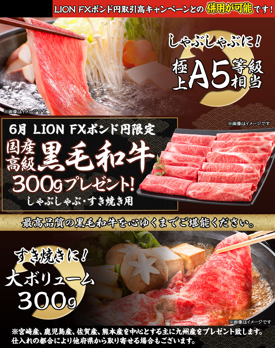 LION FXポンド円限定 国産高級黒毛和牛すきしゃぶ用スライス300gプレゼント!