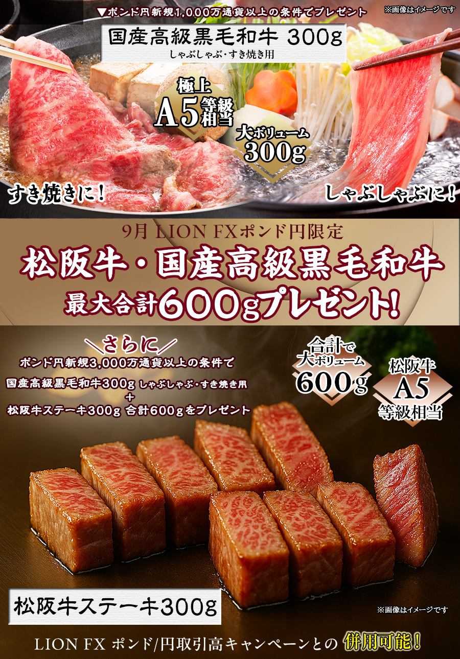 LION FXポンド円限定 高級銘柄和牛・国産高級黒毛和牛最大合計600gプレゼント!