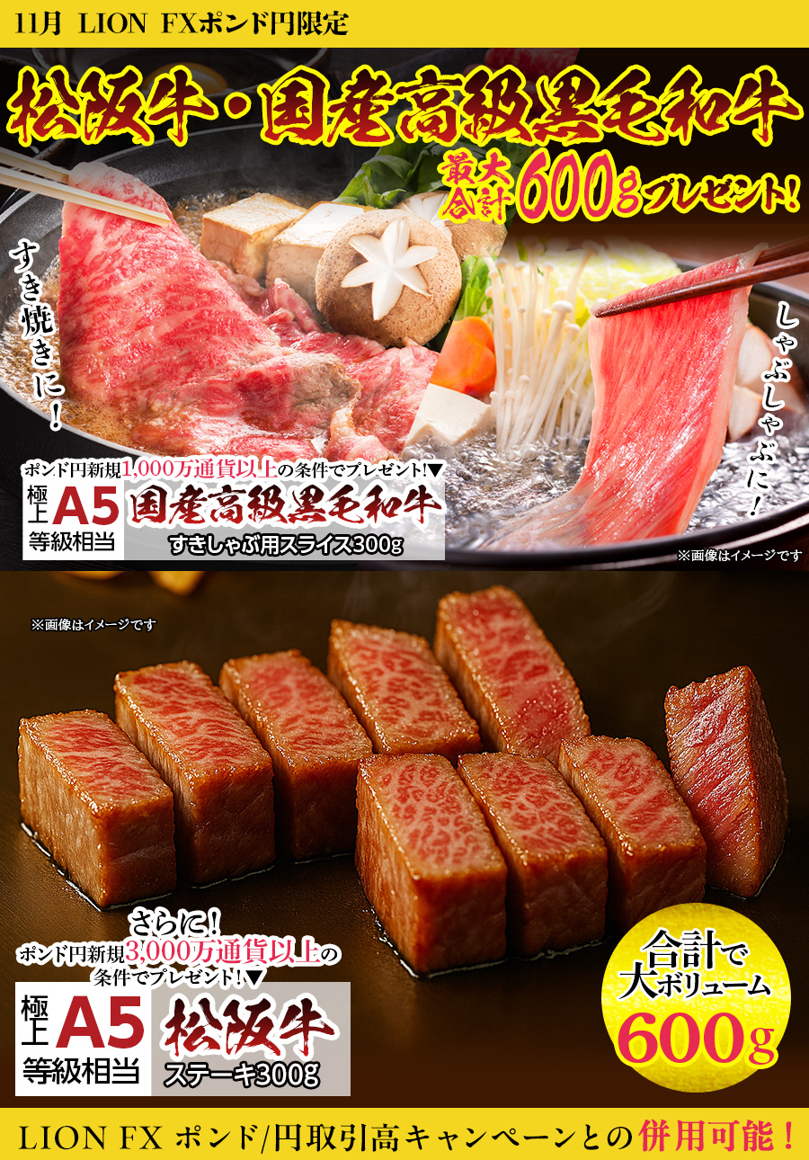 LION FXポンド円限定 高級銘柄和牛・国産高級黒毛和牛最大合計600gプレゼント!