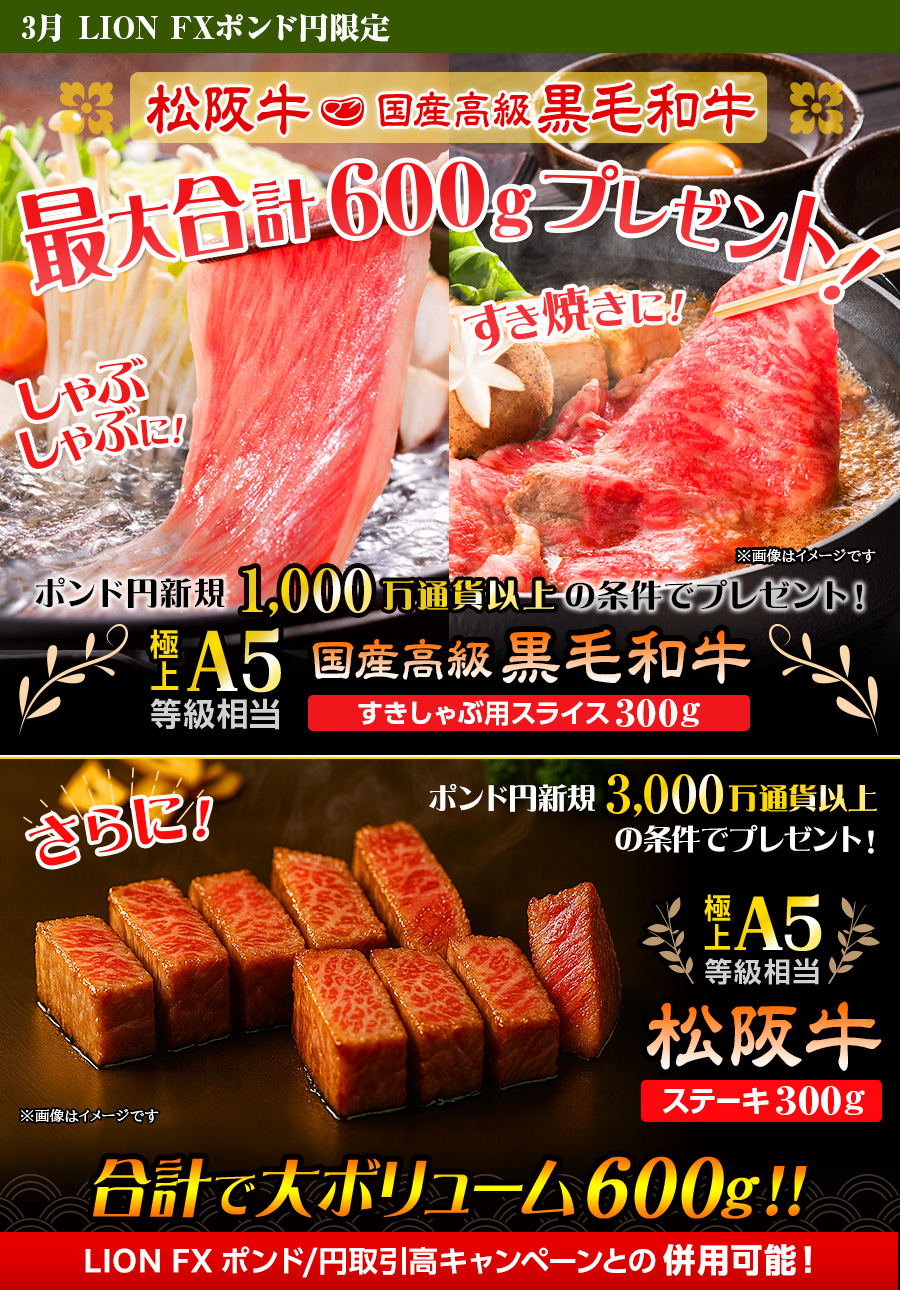 LION FXポンド円限定 高級銘柄和牛・国産高級黒毛和牛最大合計600gプレゼント!