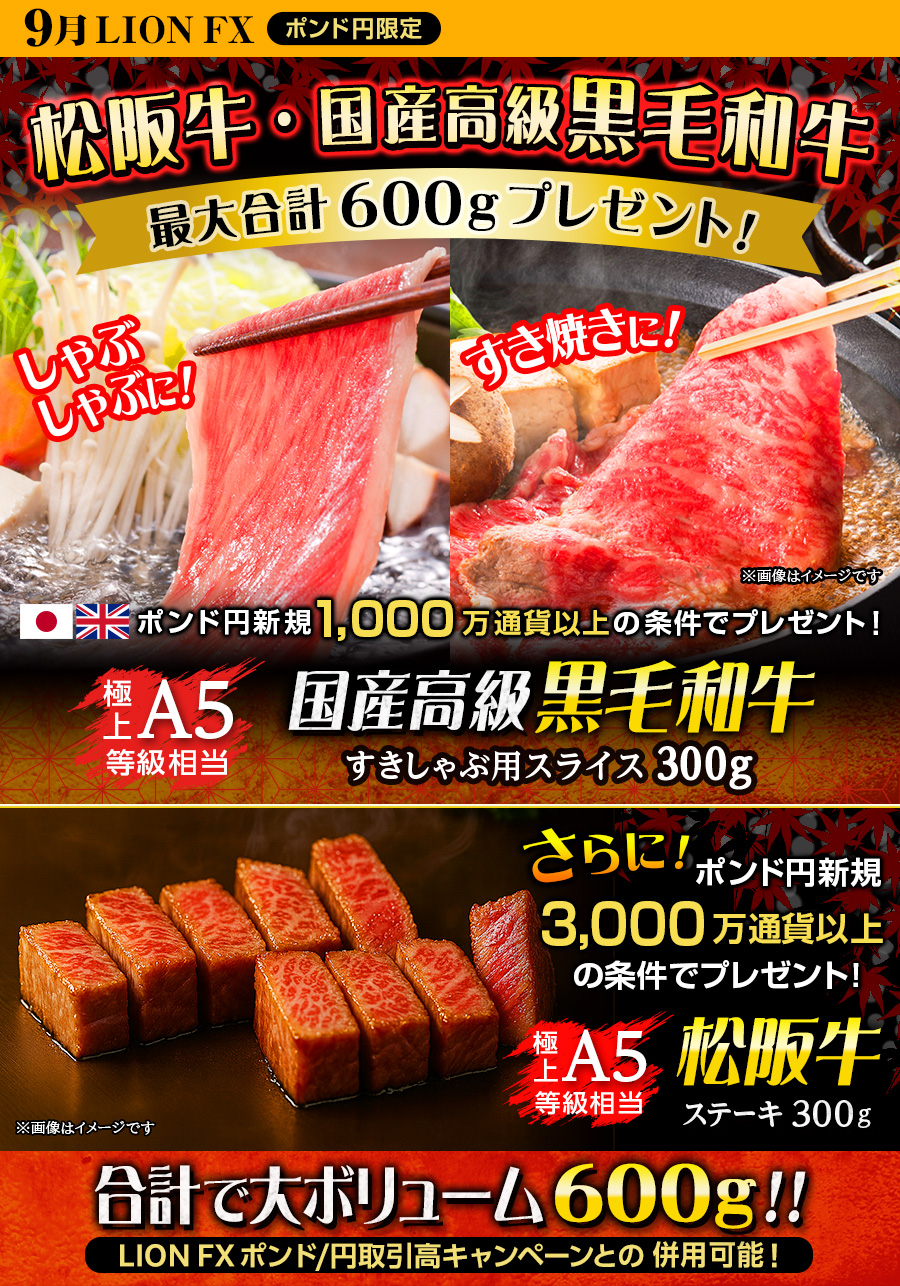 LION FXポンド円限定 高級銘柄和牛・国産高級黒毛和牛最大合計600gプレゼント!