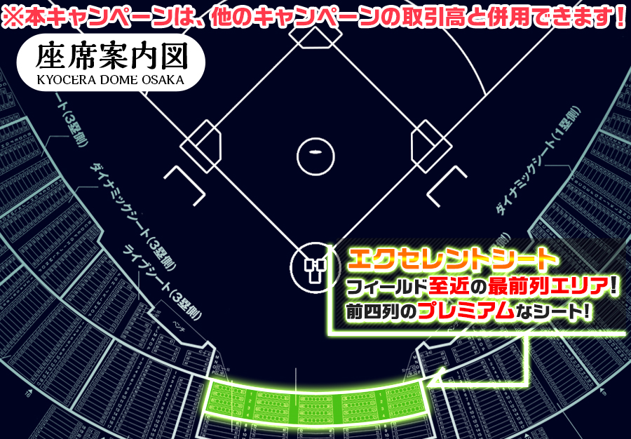 オリックス・バファローズ主催試合観戦ペアチケットプレゼント!