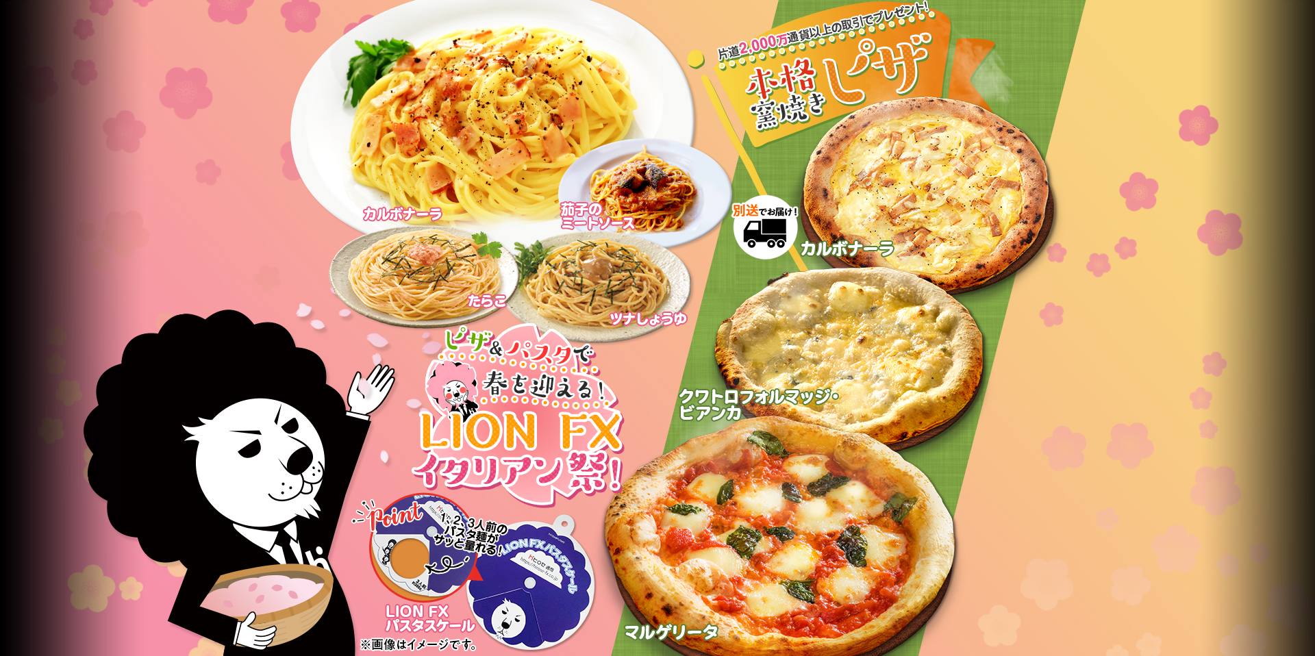 50品　ヒロセ通商　パスタ(300g✖️17箱)とパスタソース(33個)セット ヒロセ通商 パスタ・パスタソース - メルカリ